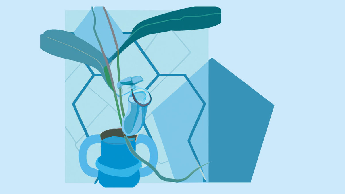 Unlocking the Secrets of the Nepenthes Pitcher Plant: How its Unique Adaptations Inspire Revolutionary Technology