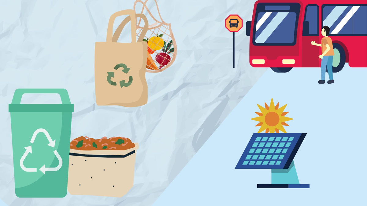 10 Simple Swaps for a More Eco-Friendly Lifestyle